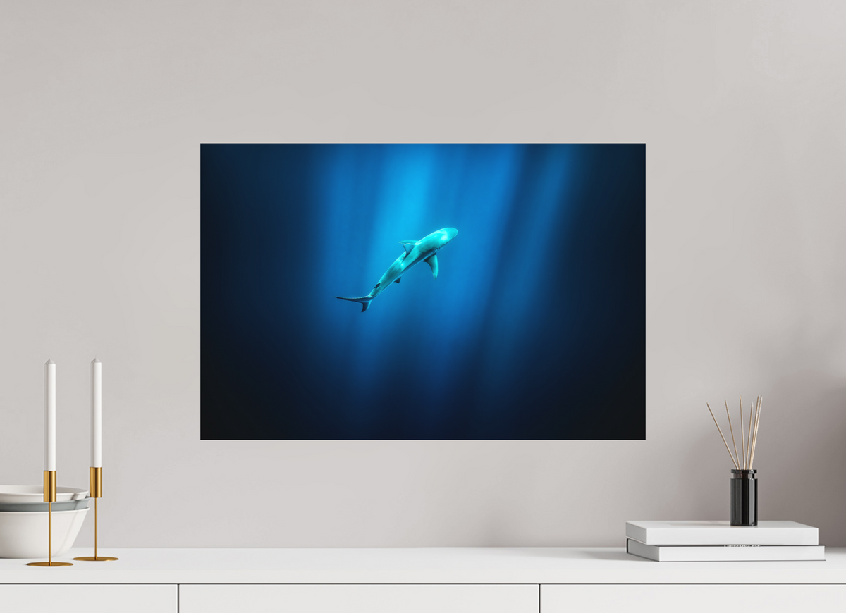 60 x 40 cm, Papierprint ohne Rahmen Shark in Hawaiian Blue Waters