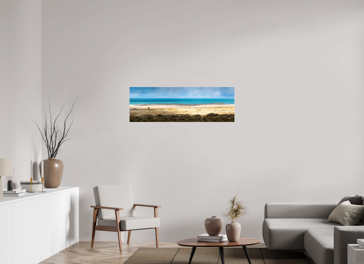 120 x 40 cm, Photo Print Under Acrylic Glass Penguins on the Beach, Argentine Patagonia