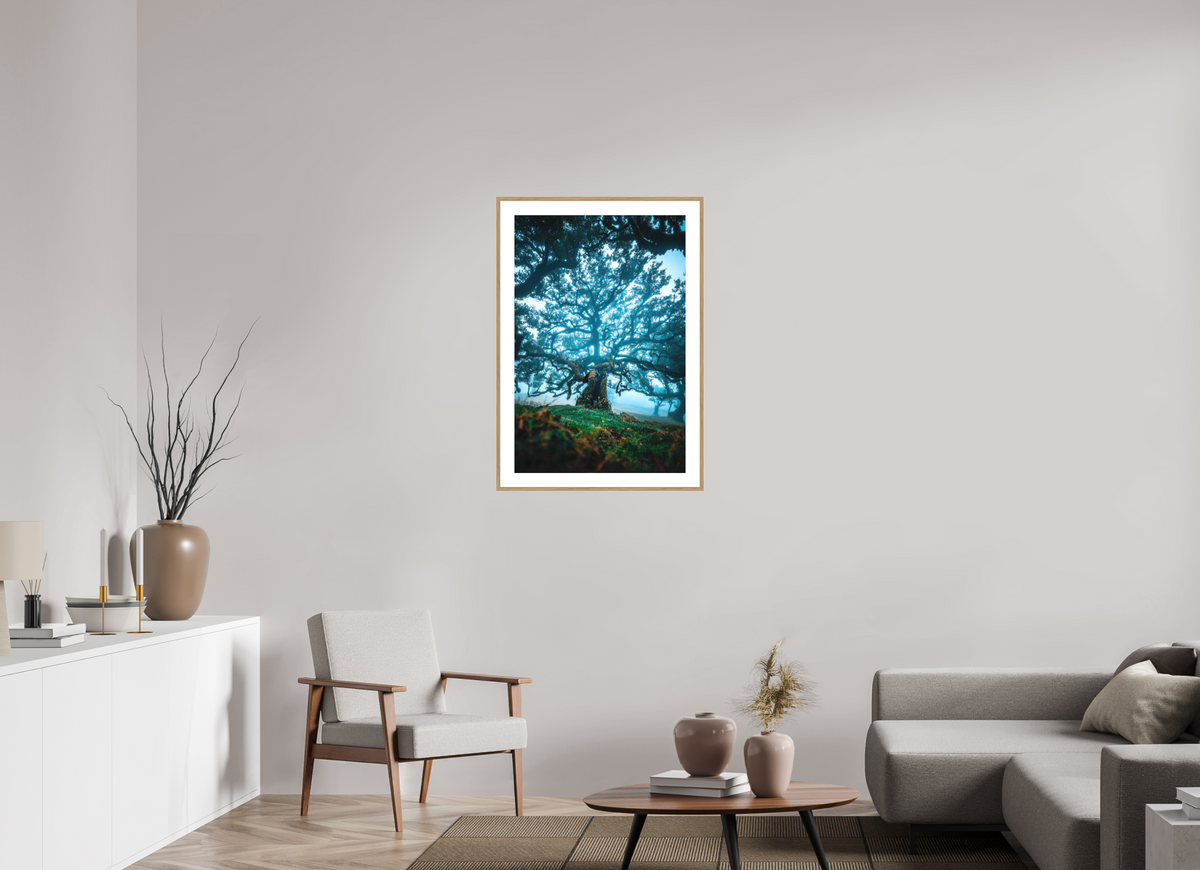 60 x 90 cm, Rahmen-Holzoptik Old Laurel Tree in the Light, Madeira