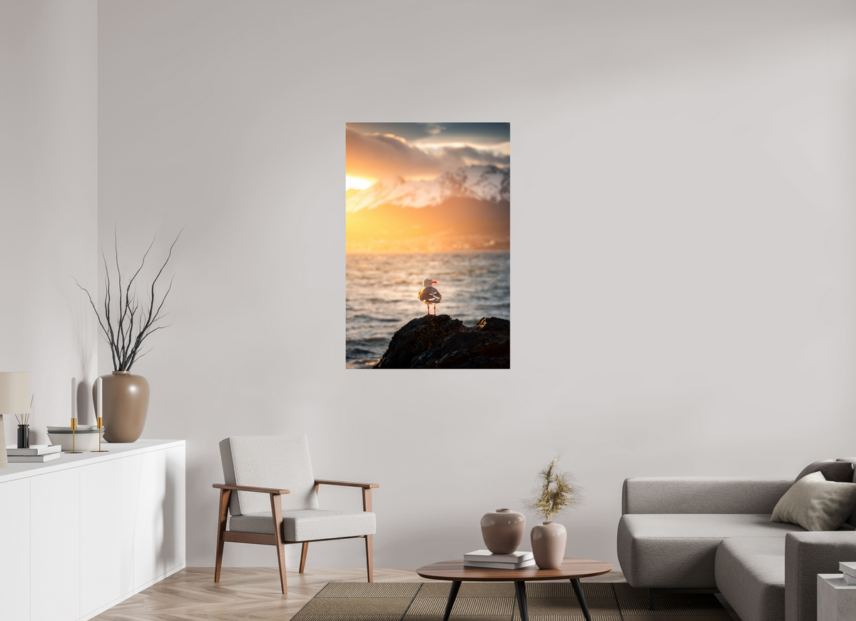 80 x 120 cm, Photo Print Under Acrylic Glass Seagull at Sunset, Ushuaia