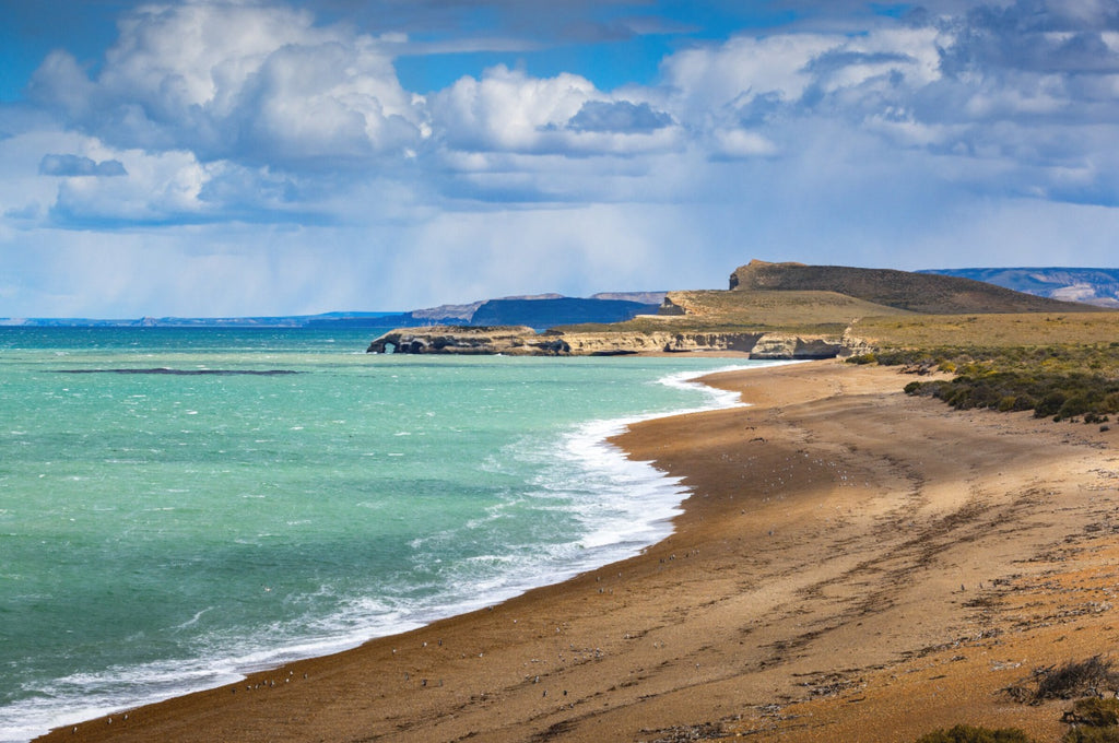Photo Coast at Punta Norte, Argentina