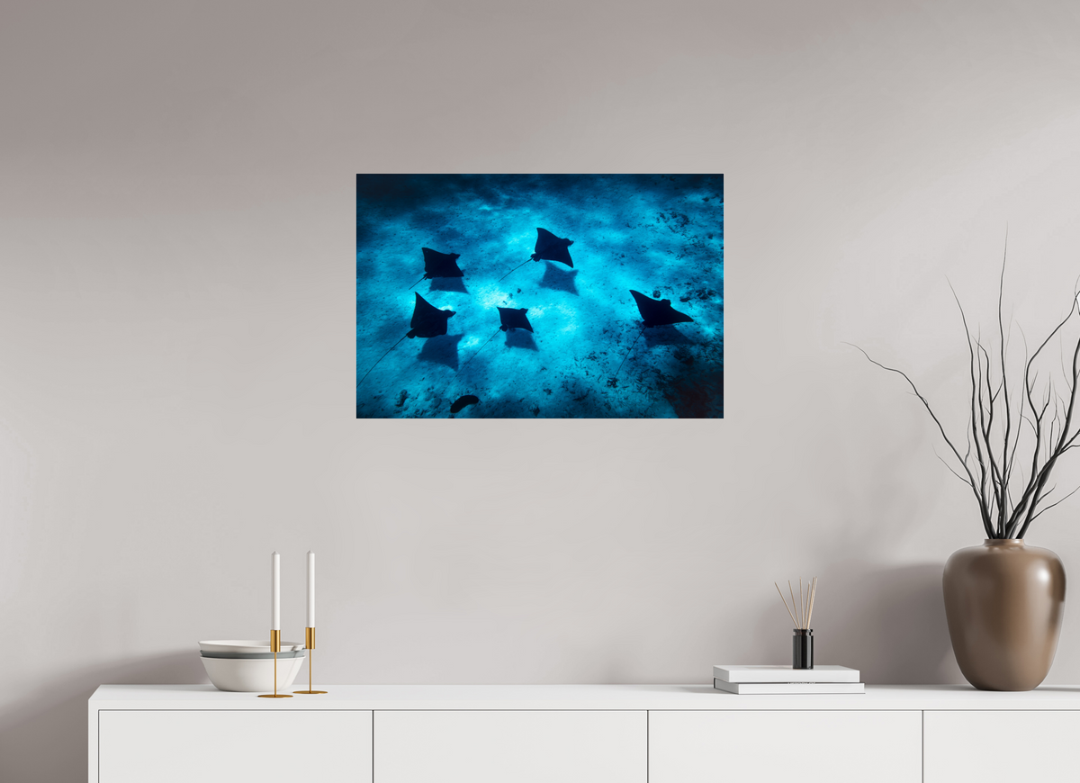 75 x 50 cm, Photo Print Under Acrylic Glass Eagle Rays in the Lagoon, Bora Bora