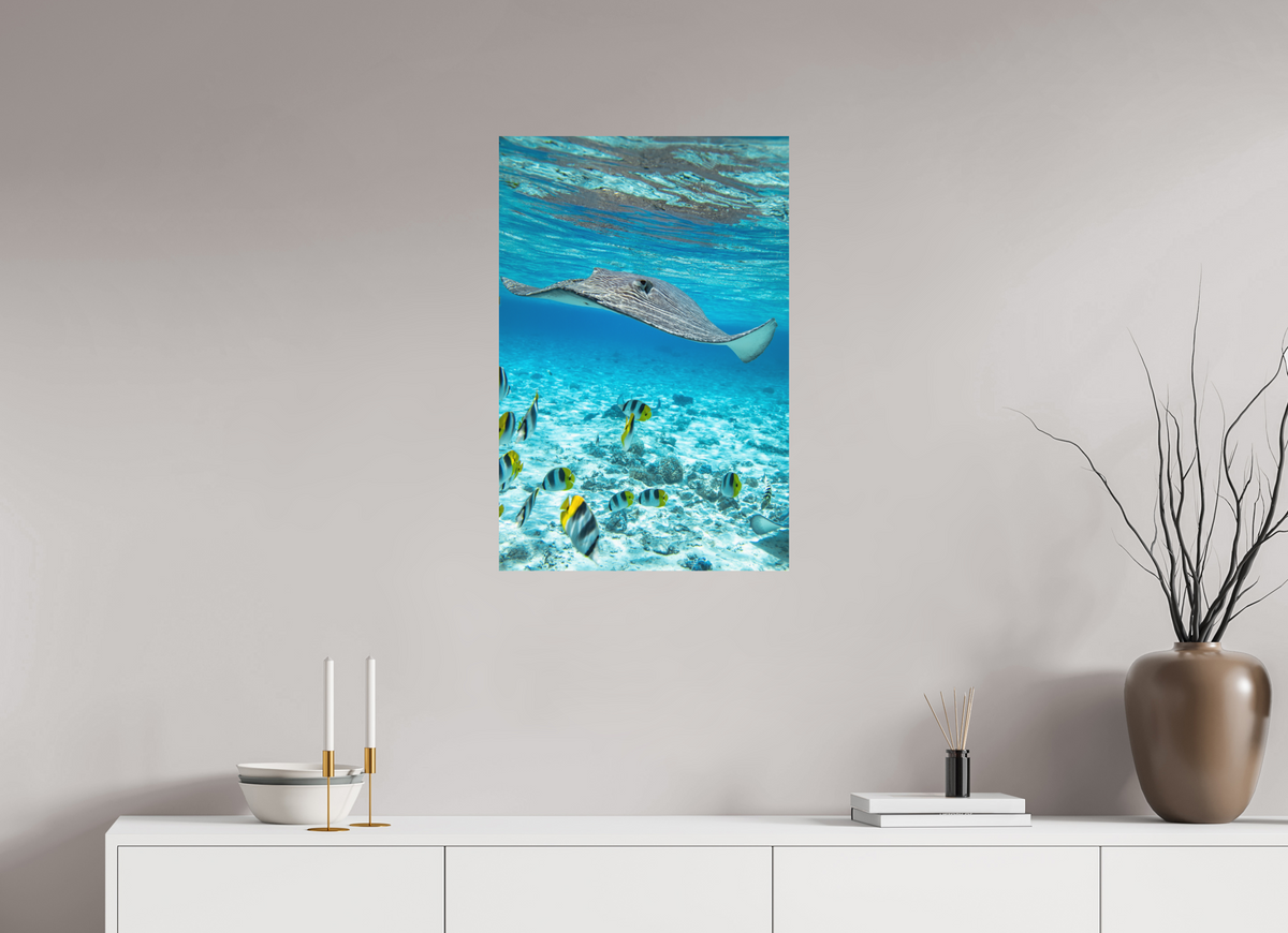 50 x 75 cm, Papierprint ohne Rahmen Stingray off Rarotonga, Cook Islands