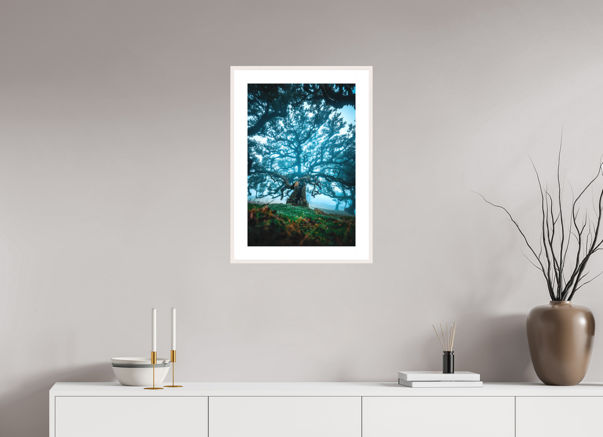 40 x 60 cm, Rahmen-Weiß Old Laurel Tree in the Light, Madeira