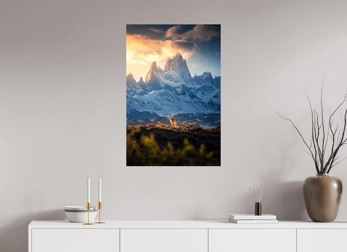 60 x 90 cm, Photo Print Under Acrylic Glass Guanaco below Fitz Roy in Golden Light, Patagonia