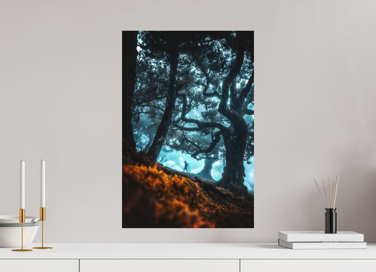 40 x 60 cm, Papierprint ohne Rahmen Enchanted Forest, Fanal, Madeira
