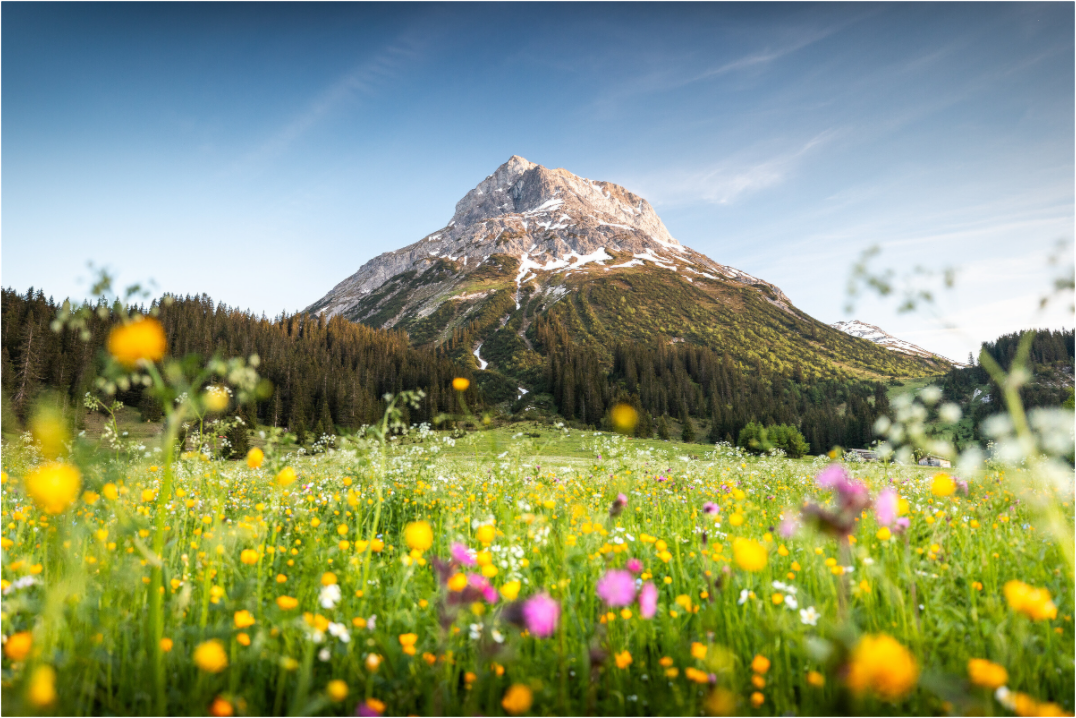 Main image Omeshorn, Lech Alps