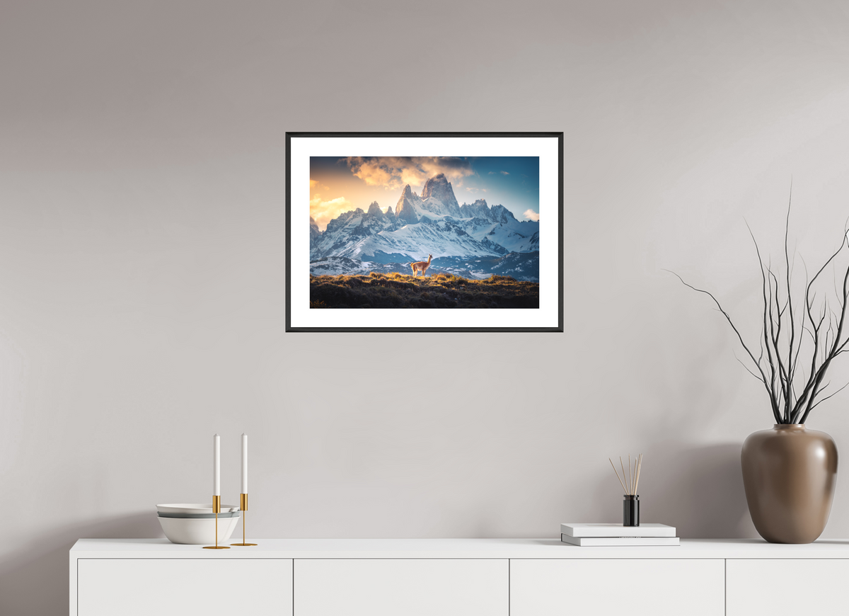 60 x 40 cm, Rahmen-Schwarz Guanaco at Fitz Roy, Patagonia