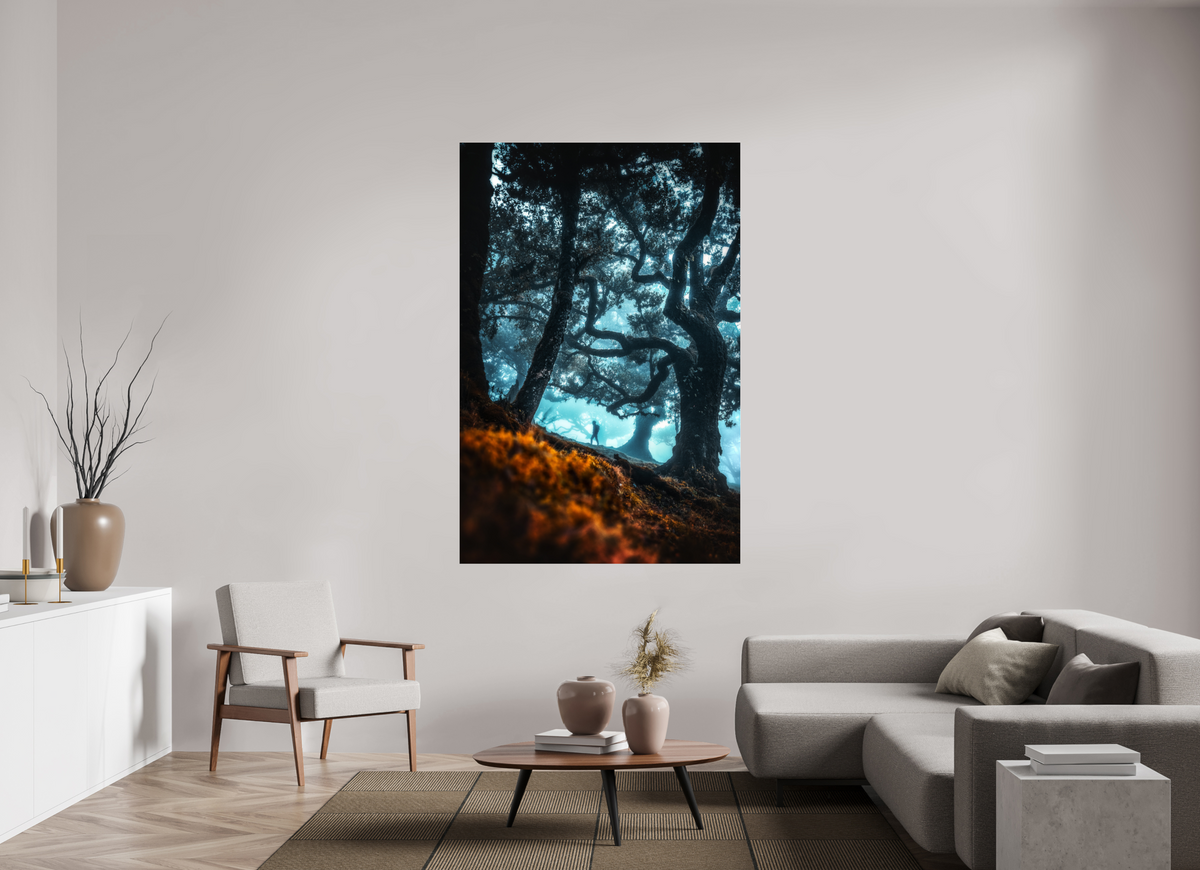 120 x 180 cm, Photo Print Under Acrylic Glass Enchanted Forest, Fanal, Madeira