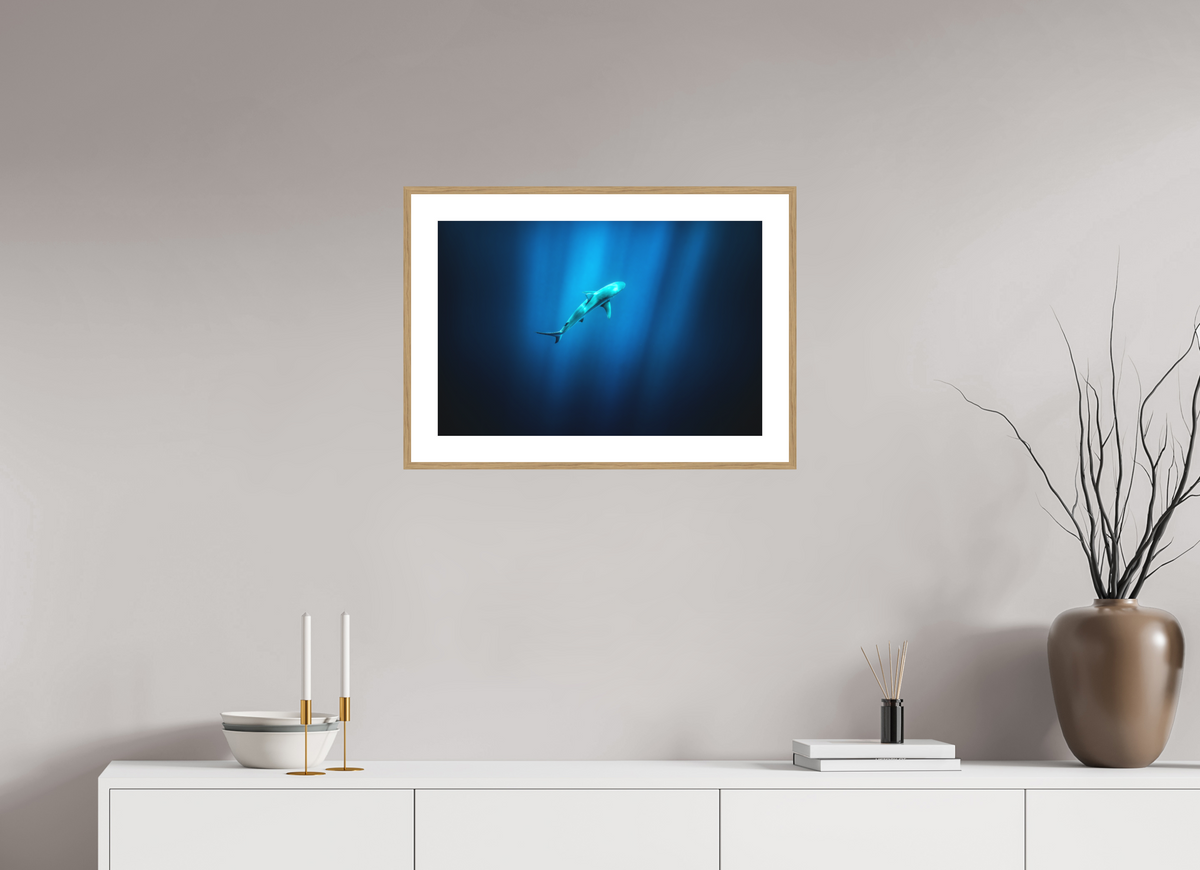 60 x 40 cm, Rahmen-Holzoptik Shark in Hawaiian Blue Waters