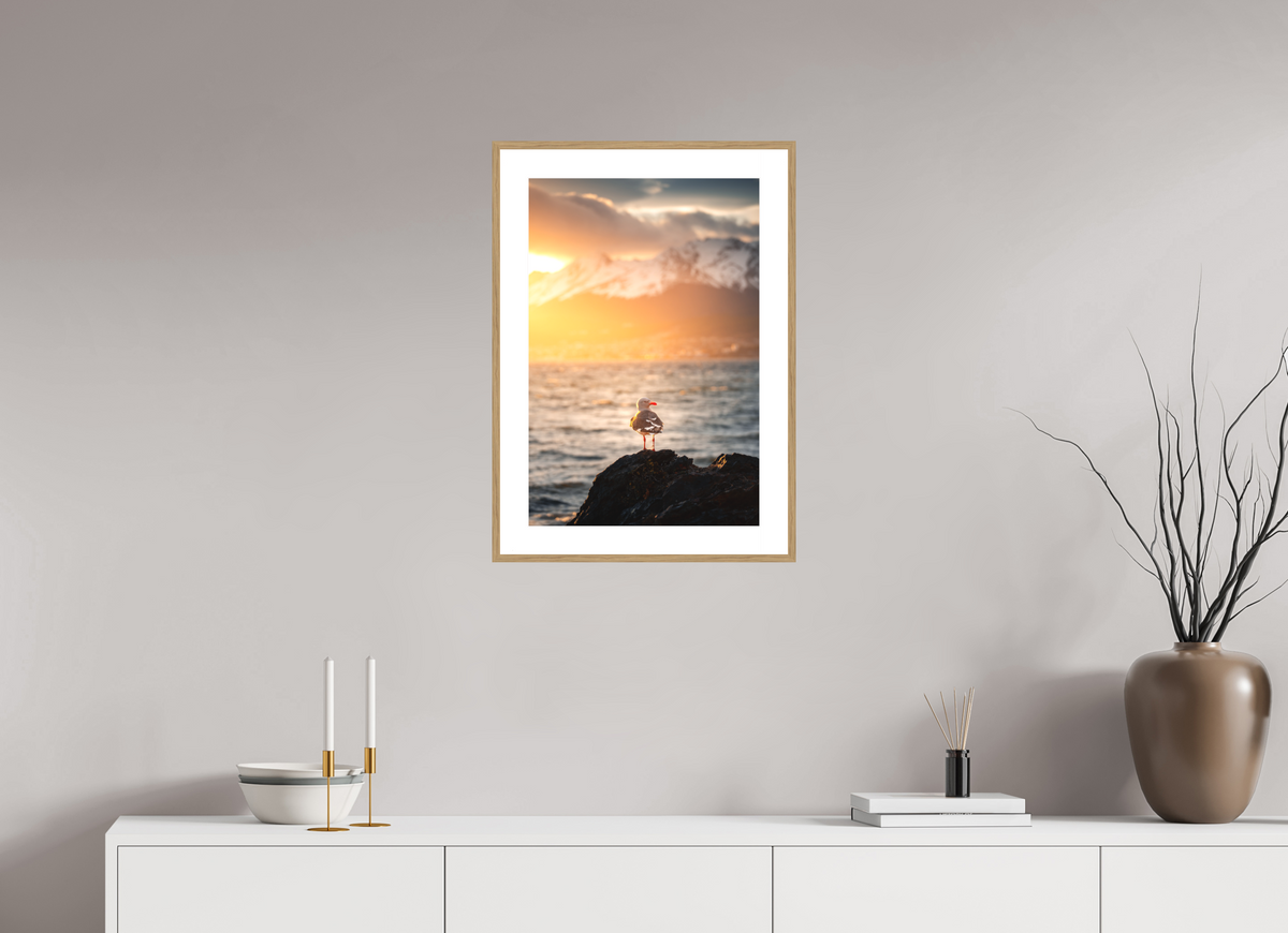 40 x 60 cm, Rahmen-Holzoptik Seagull at Sunset, Ushuaia