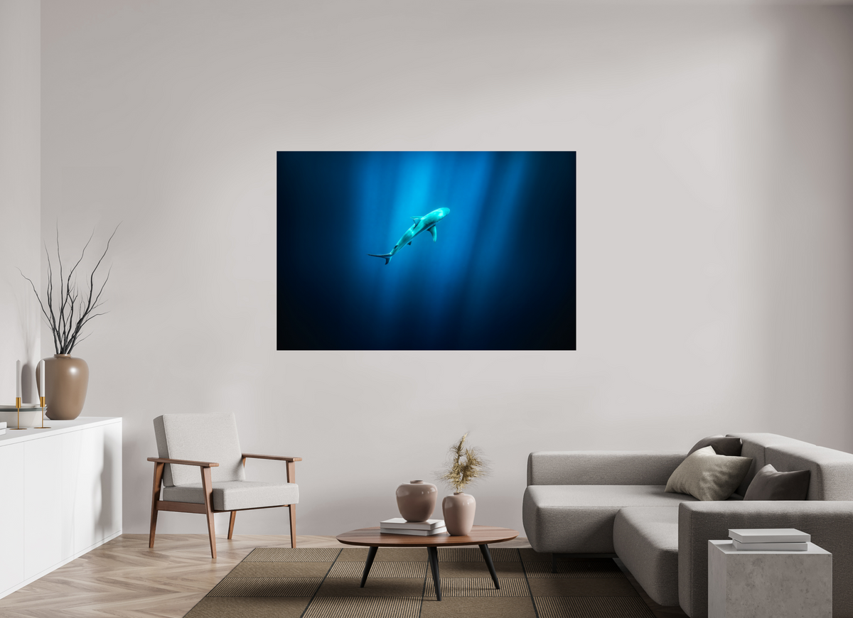 180 x 120 cm, Photo Print Under Acrylic Glass Shark in Hawaiian Blue Waters