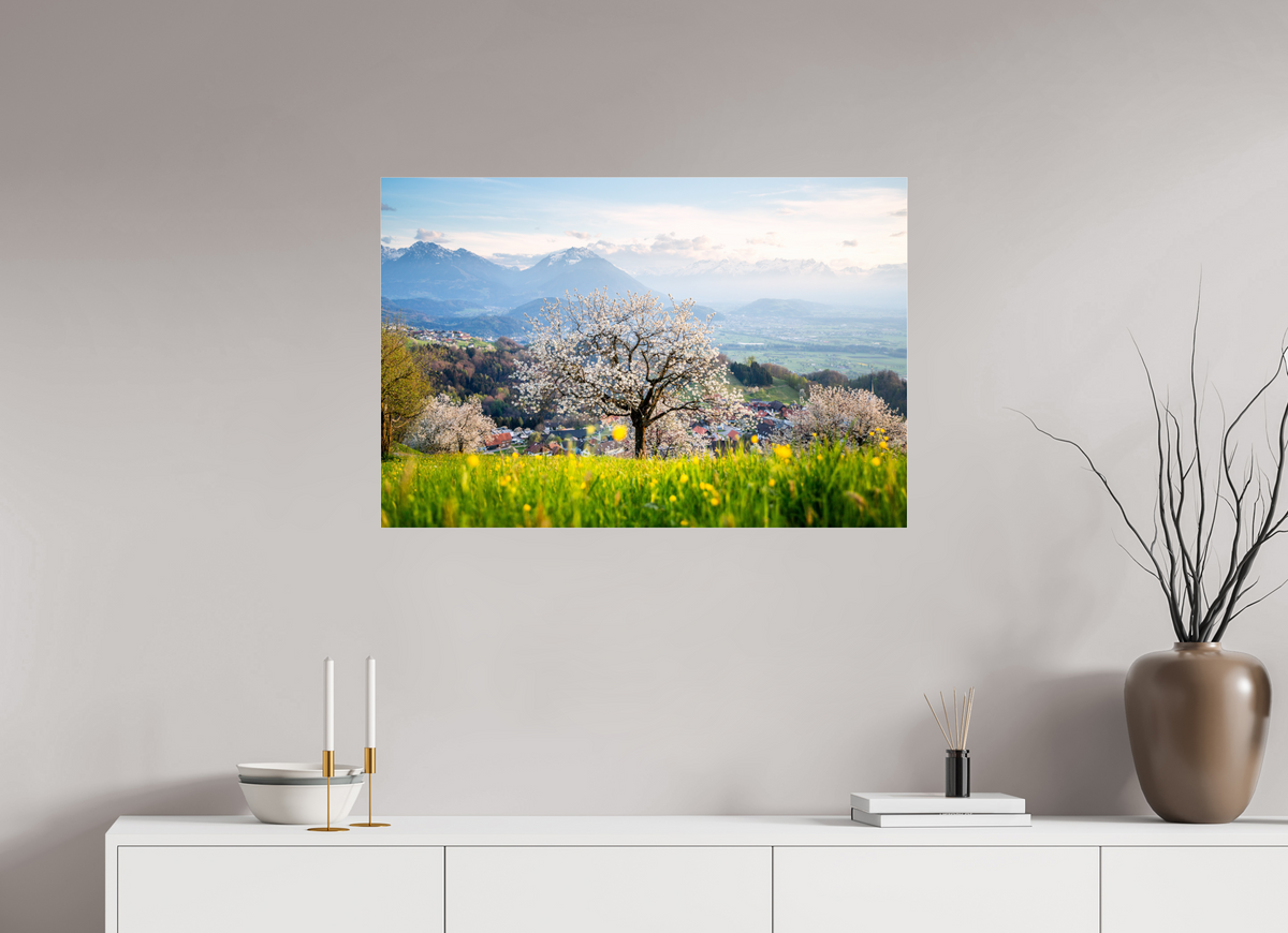 90 x 60 cm, Photo Print Under Acrylic Glass Spring Cherry Tree Meadow, Fraxern
