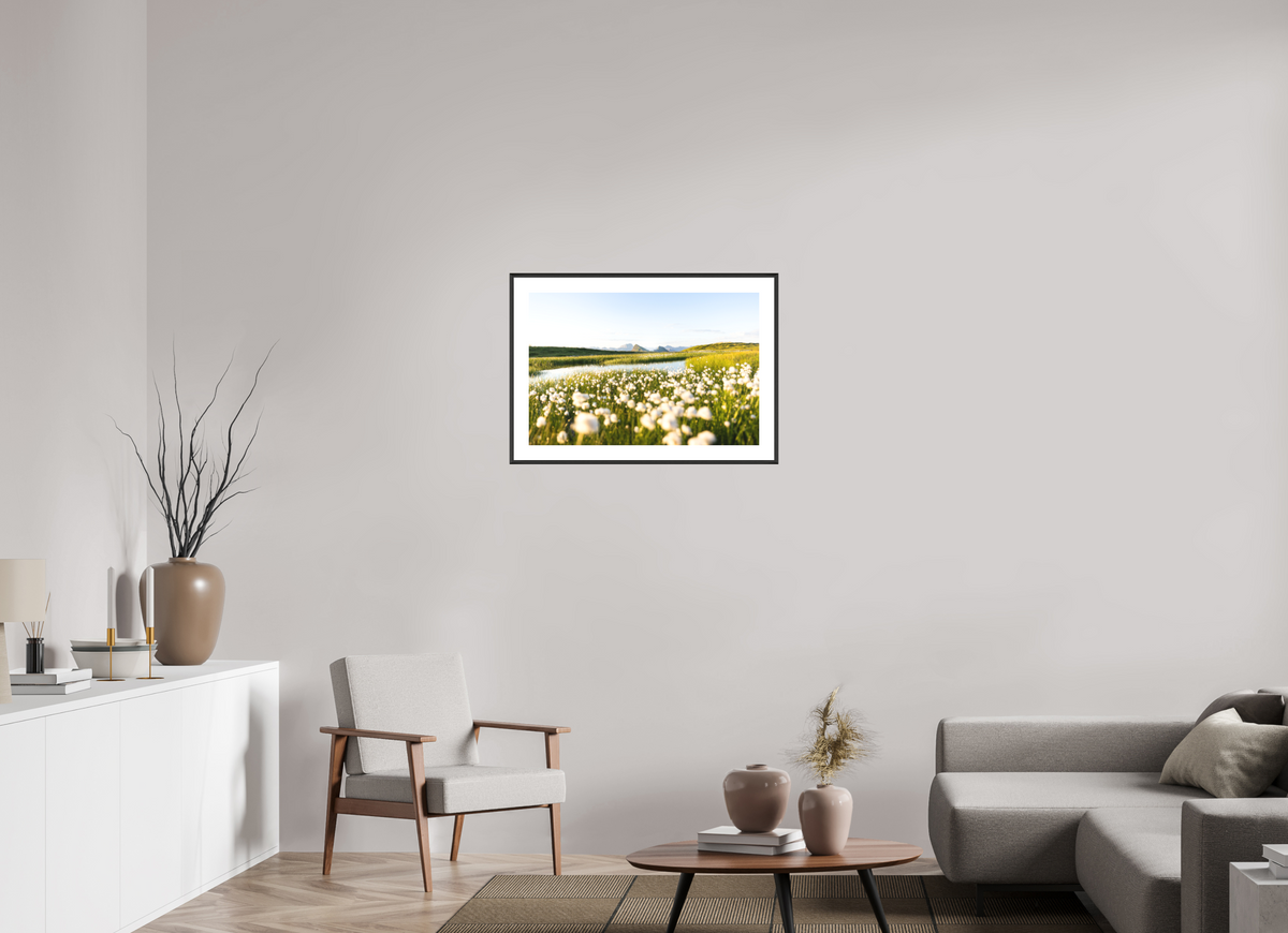 75 x 50 cm, Rahmen-Schwarz Alpine Cotton Grass by the Pond