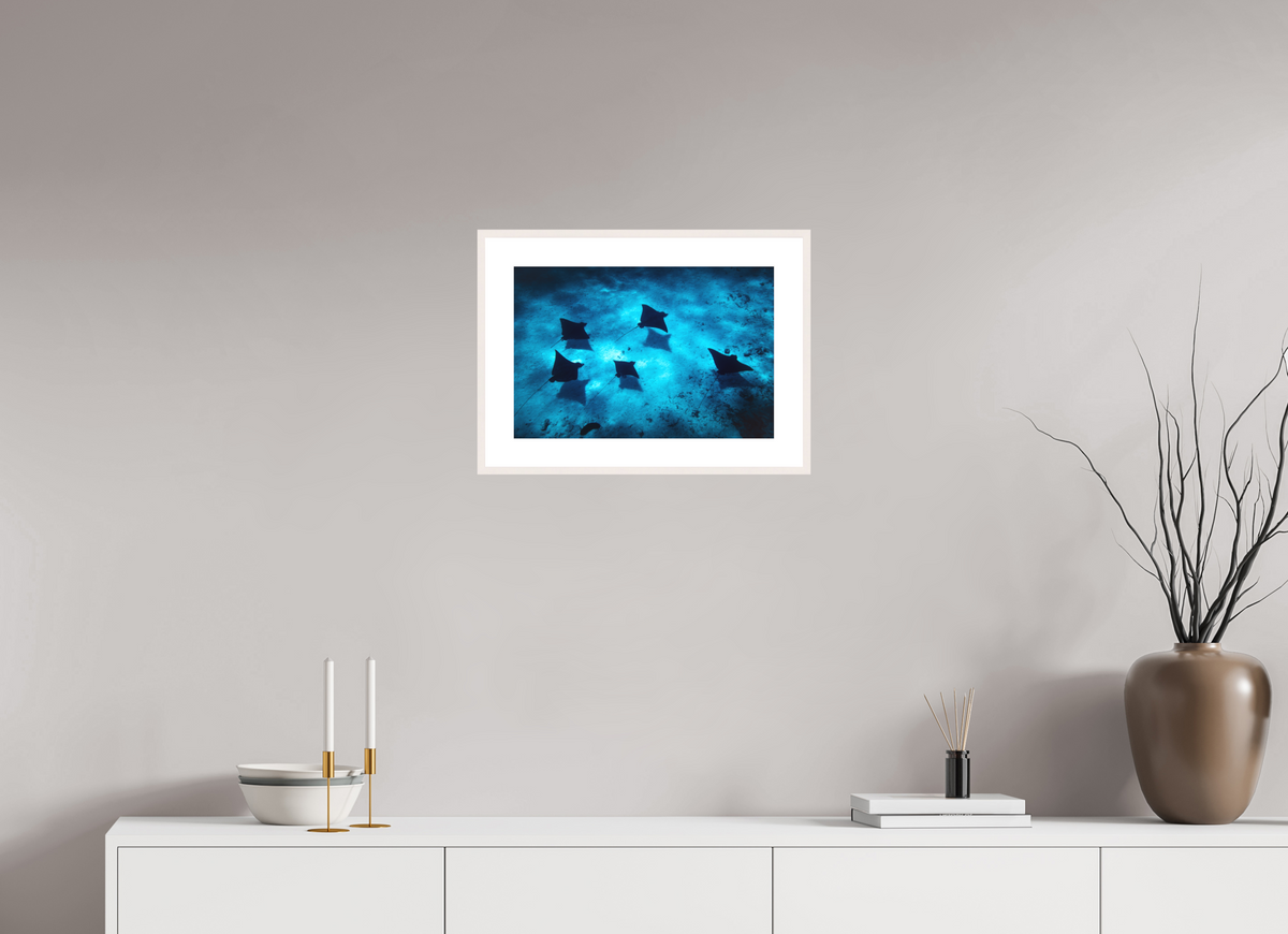45 x 30 cm, Rahmen-Weiß Eagle Rays in the Lagoon, Bora Bora