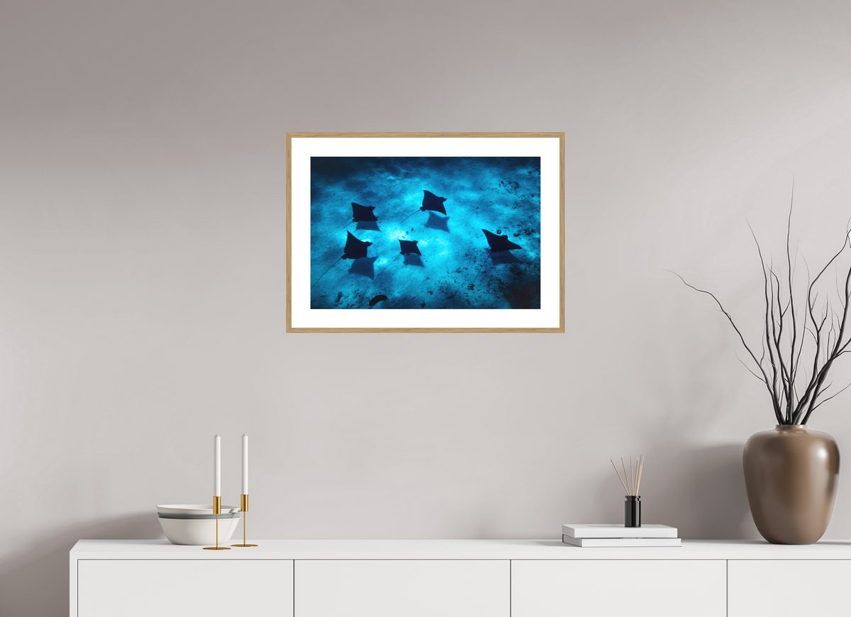 60 x 40 cm, Rahmen-Holzoptik Eagle Rays in the Lagoon, Bora Bora