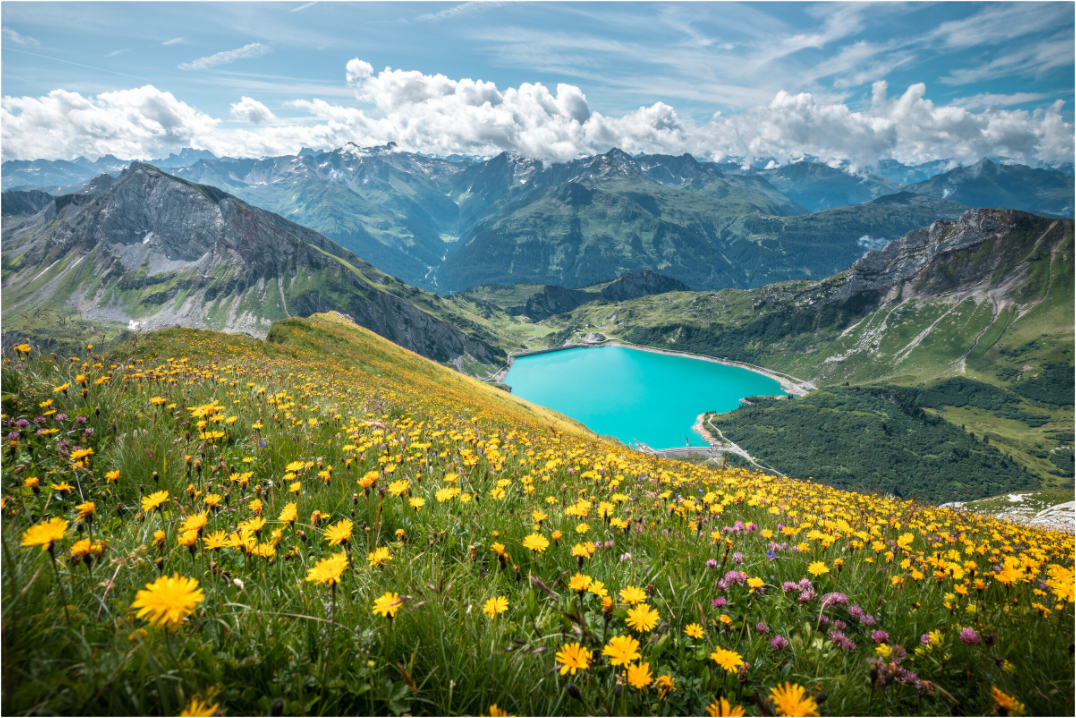 Main image Spullersee Summer Meadow, Lech