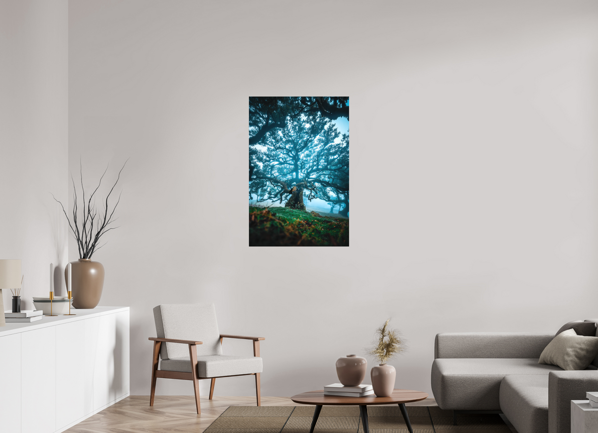 70 x 105 cm, Papierprint ohne Rahmen Old Laurel Tree in the Light, Madeira