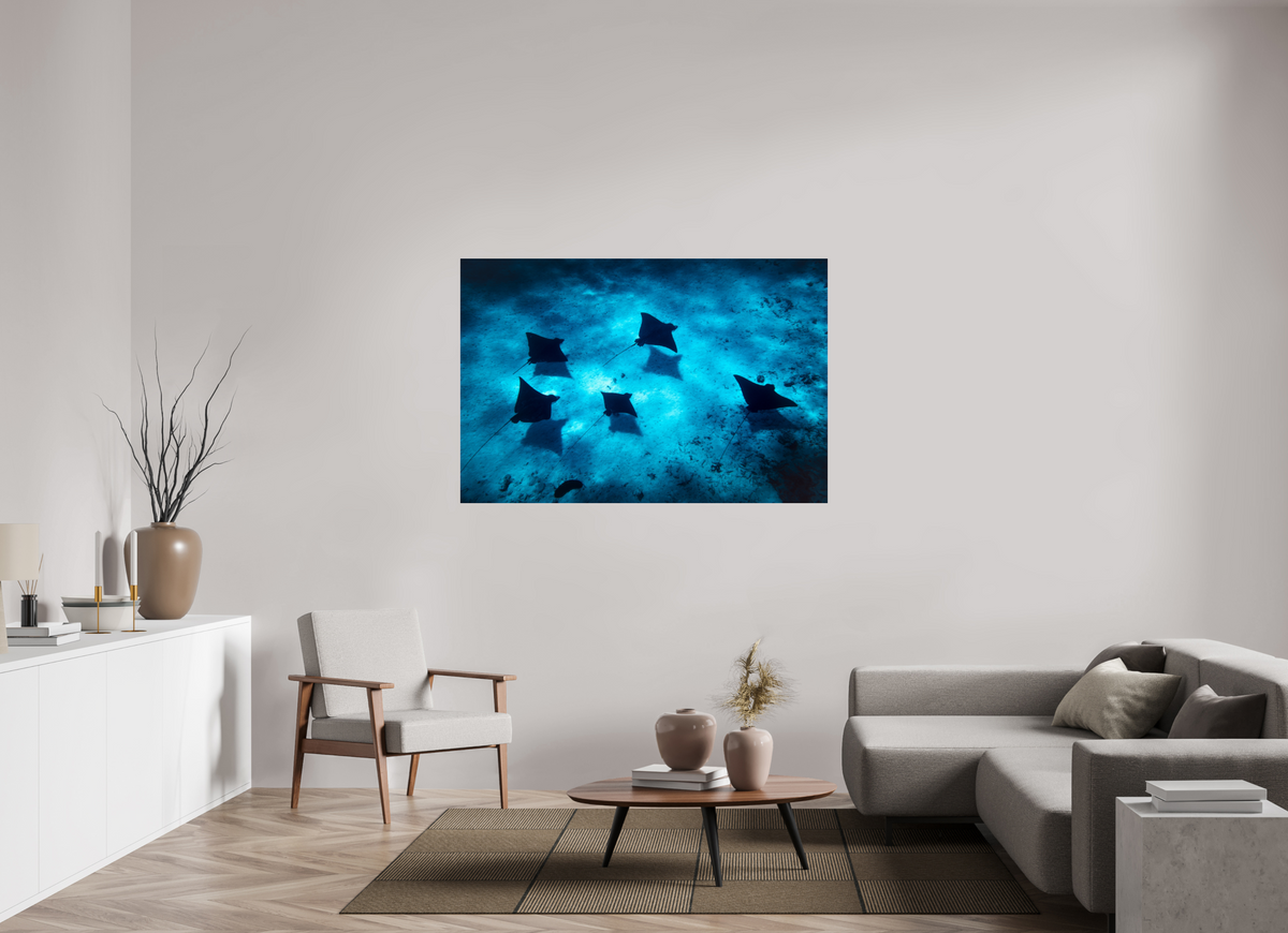 150 x 100 cm, Photo Print Under Acrylic Glass Eagle Rays in the Lagoon, Bora Bora