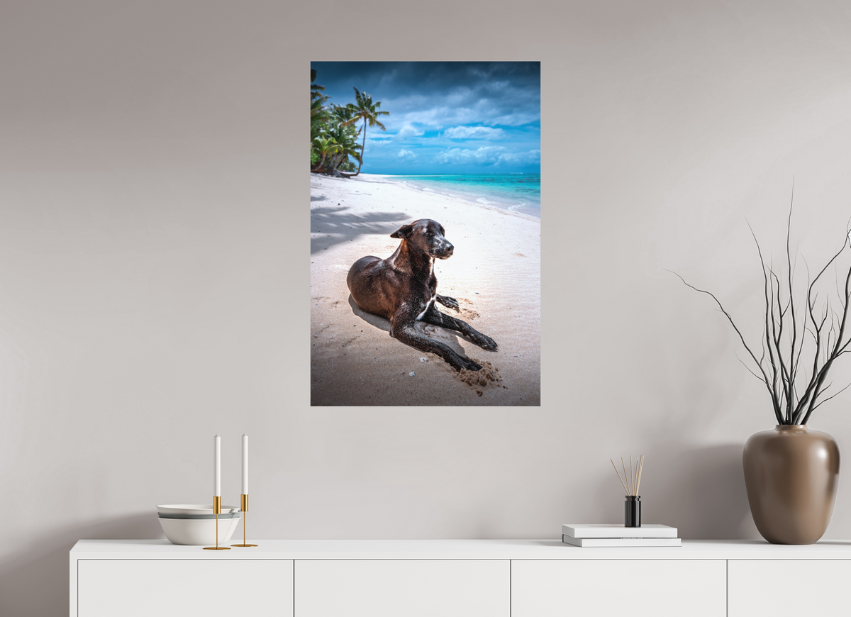 60 x 90 cm, Papierprint ohne Rahmen Beach Dog at Rarotonga, Cook Islands
