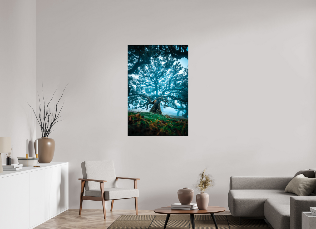80 x 120 cm, Photo Print Under Acrylic Glass Old Laurel Tree in the Light, Madeira