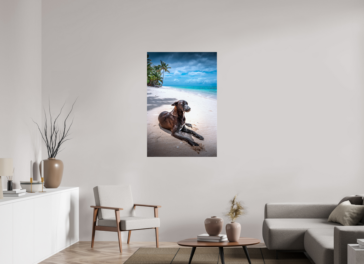 80 x 120 cm, Photo Print Under Acrylic Glass Beach Dog at Rarotonga, Cook Islands