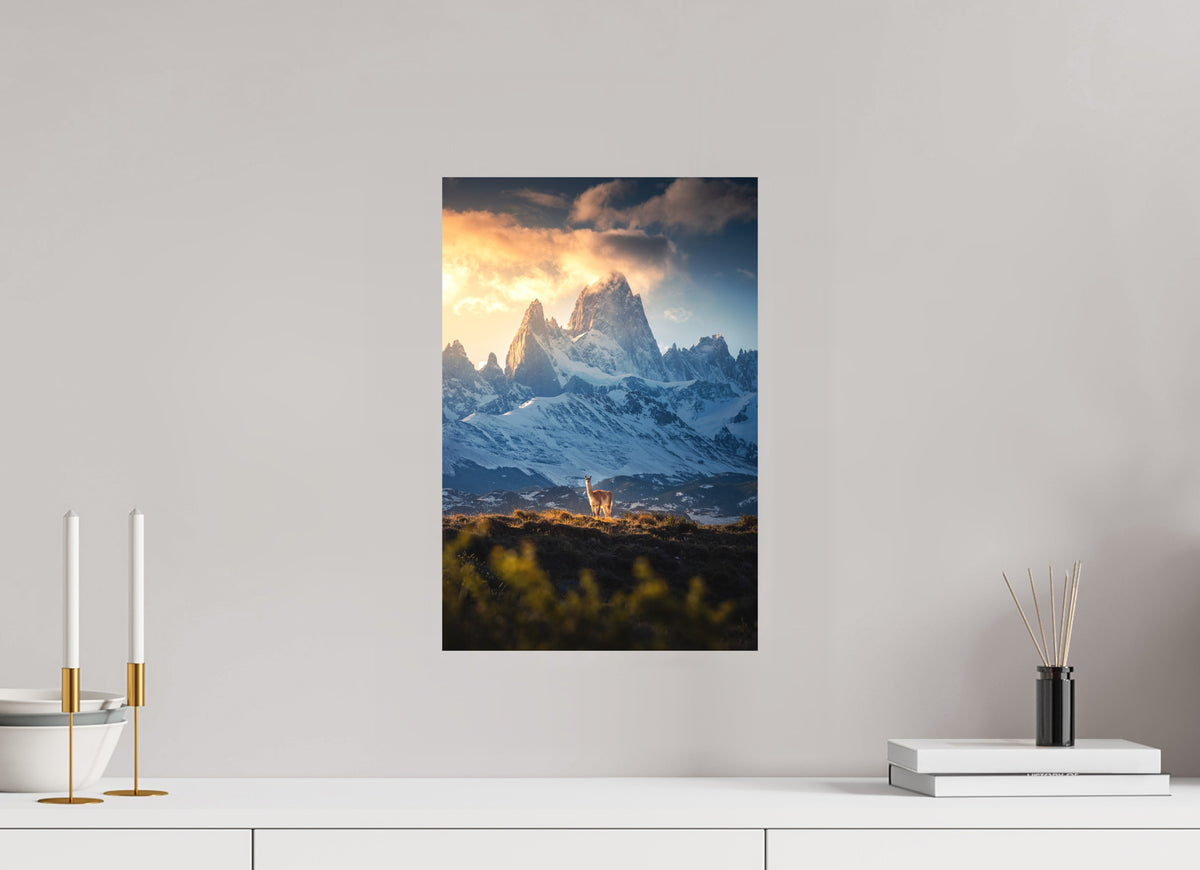 Guanaco below Fitz Roy in Golden Light, Patagonia, 30 x 45 cm, paper print