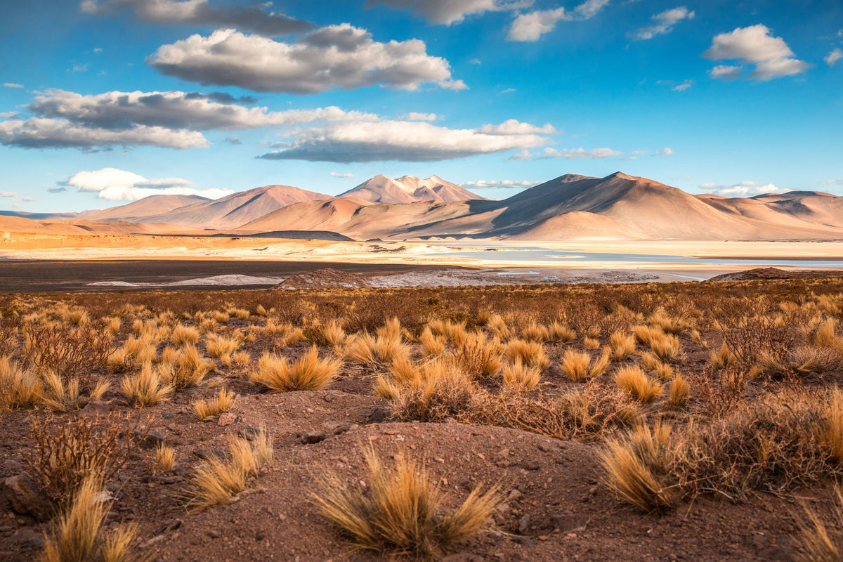 Photo Golden Light in the Atacama Desert