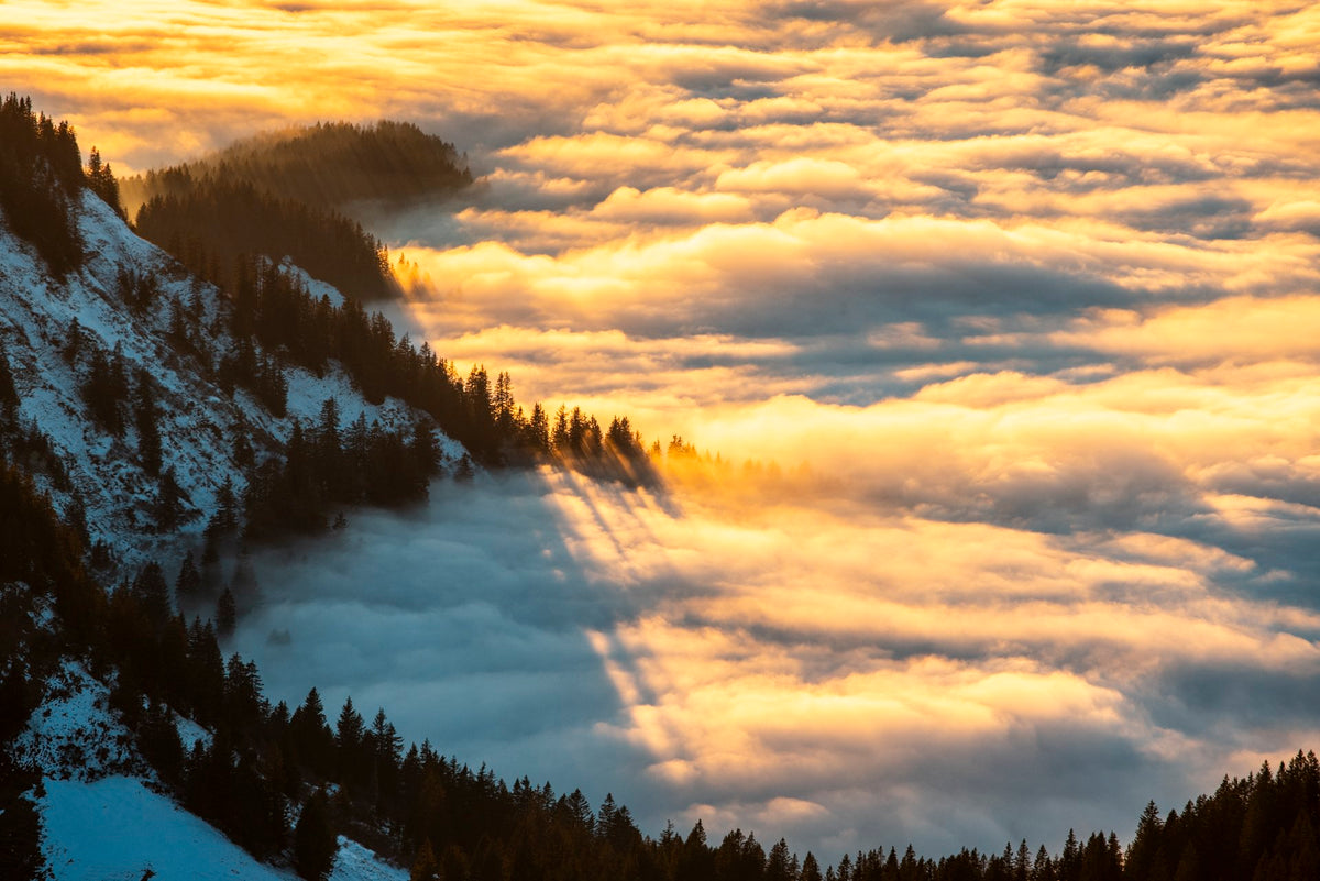 Photo Sea of Fog at the Hohe Matona, Vorarlberg