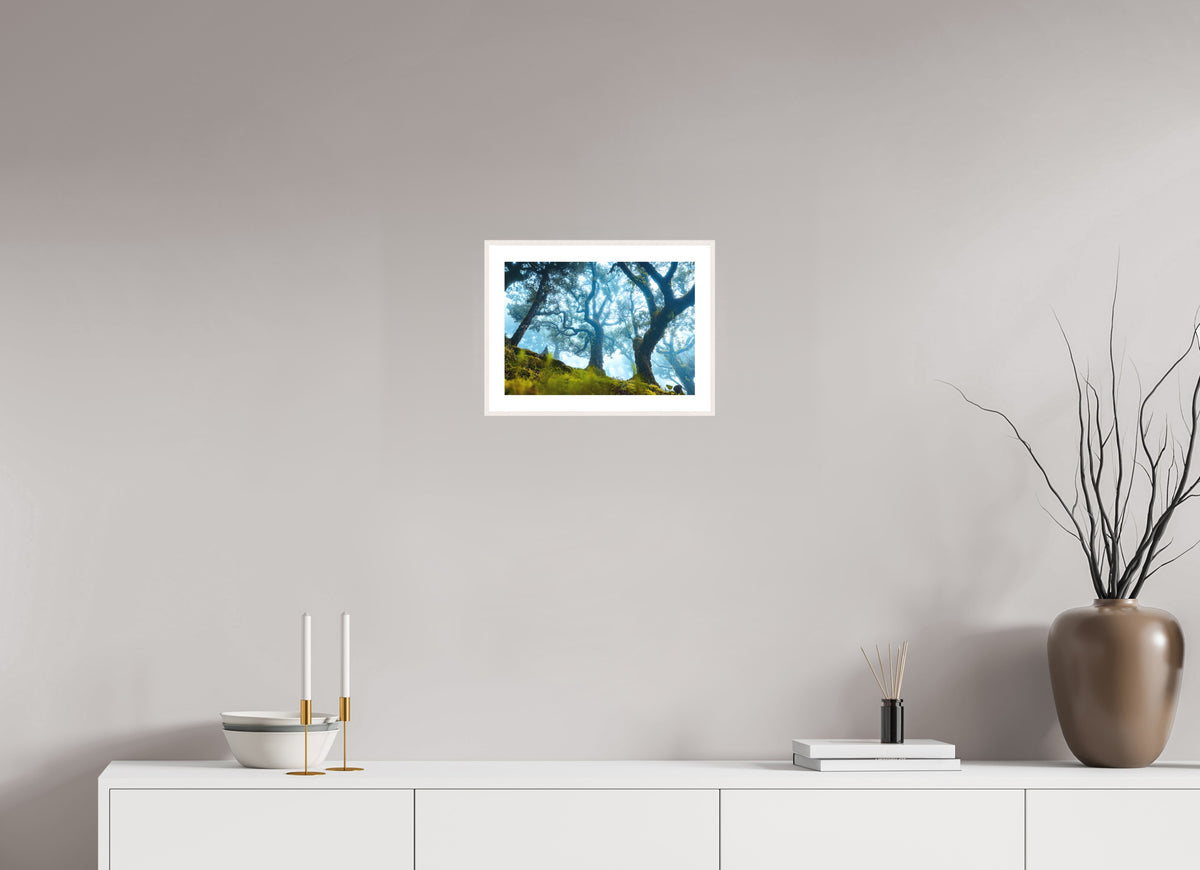 Mystical Tree in Fanal Forest, Madeira, 30 x 20 cm, framed Weiß