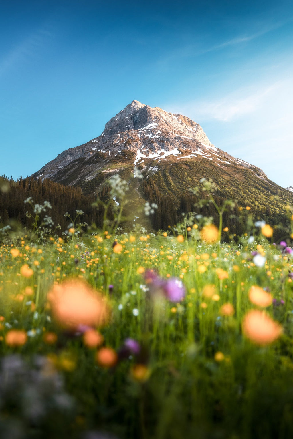 Photo Omeshorn in the Sunset Glow, Lech
