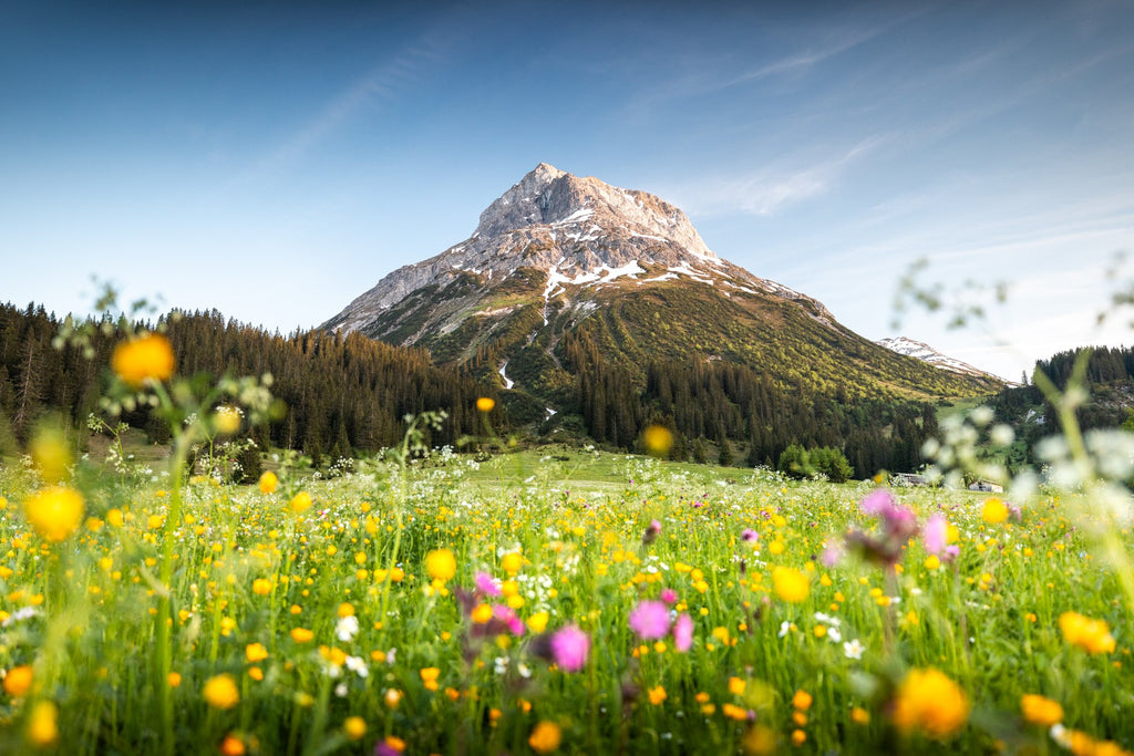 Photo Omeshorn, Lech Alps