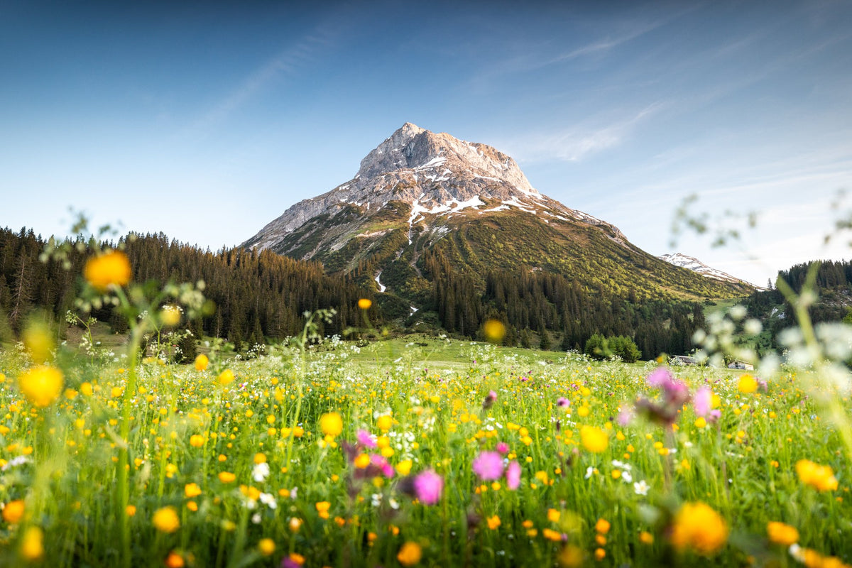 Photo Omeshorn, Lech Alps