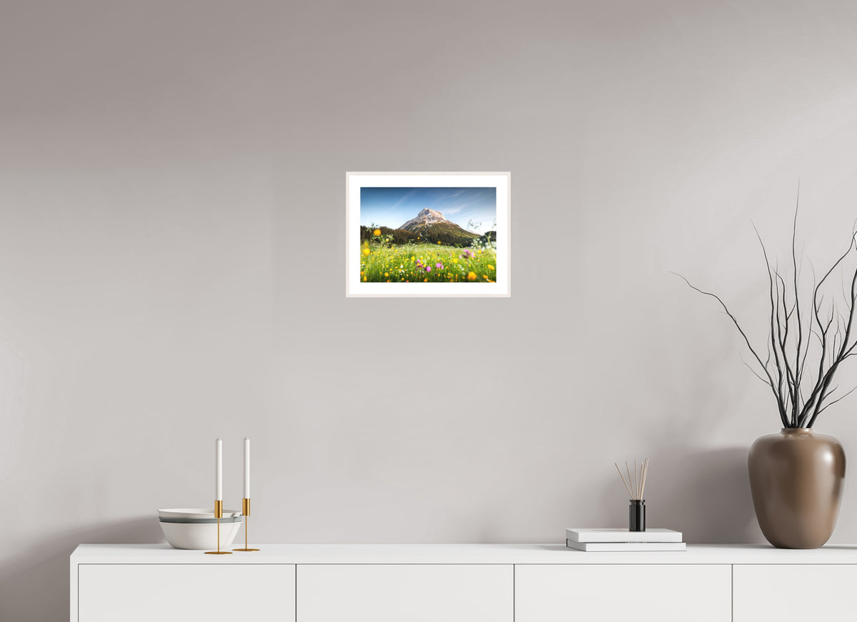 Omeshorn, Lech Alps, 30 x 20 cm, framed Weiß