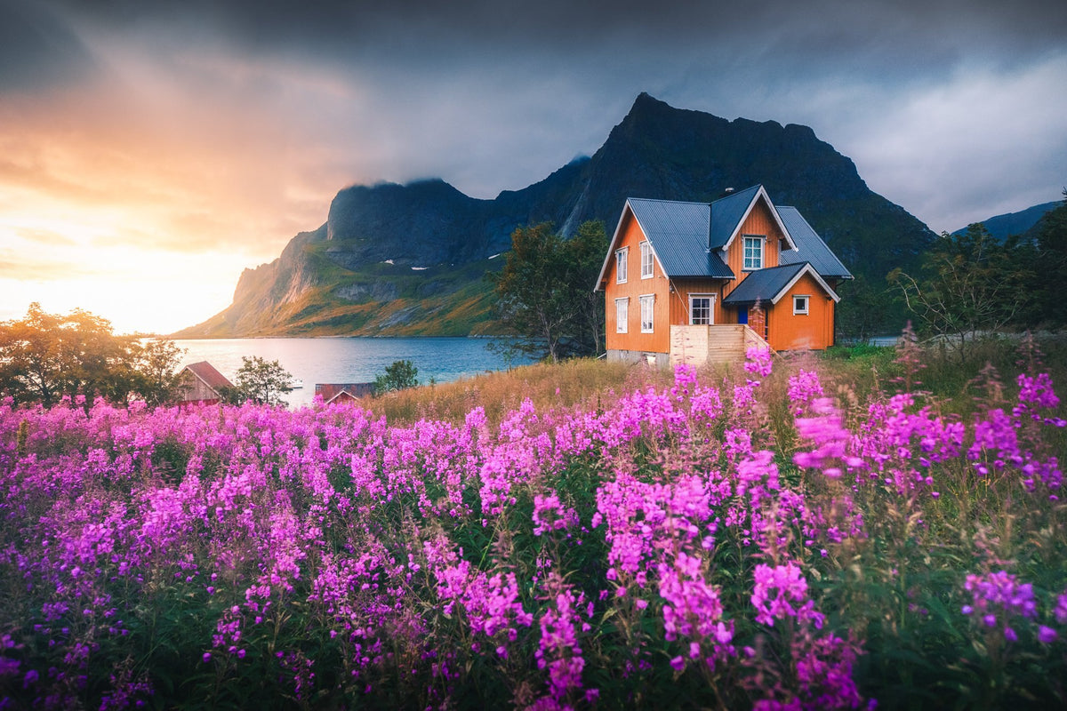 Photo Orange House with Flowers, Lofoten