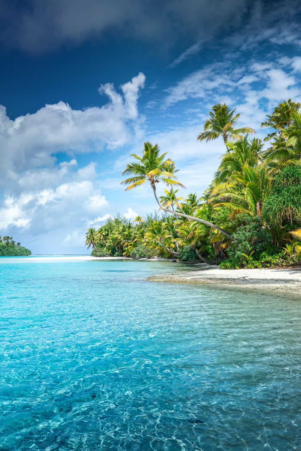 Photo Palm Coast, Aitutaki Lagoon