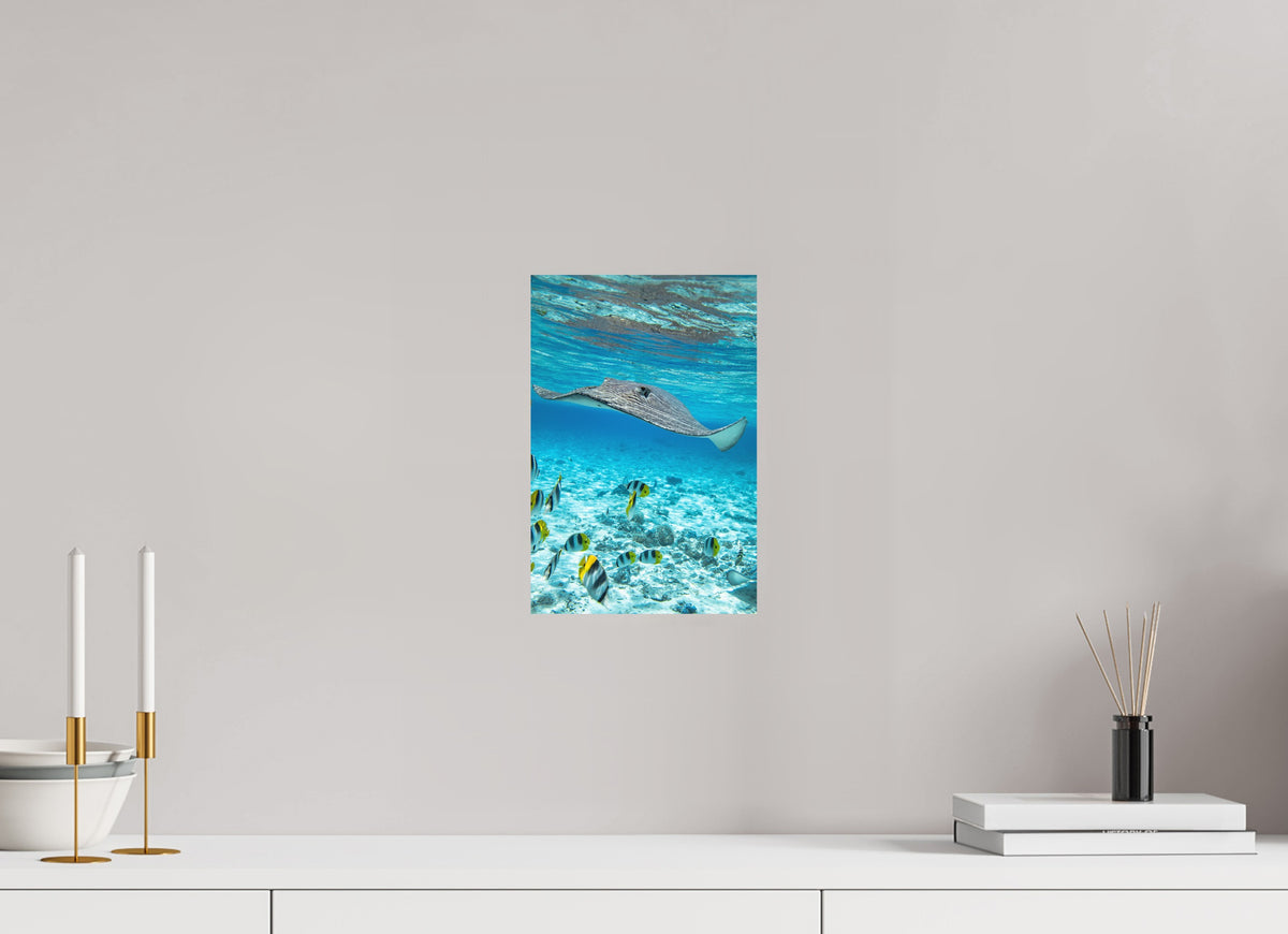 Stingray off Rarotonga, Cook Islands, 20 x 30 cm, paper print
