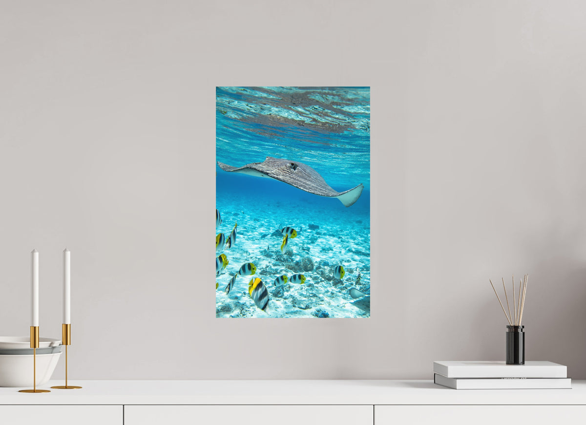 Stingray off Rarotonga, Cook Islands, 30 x 45 cm, paper print