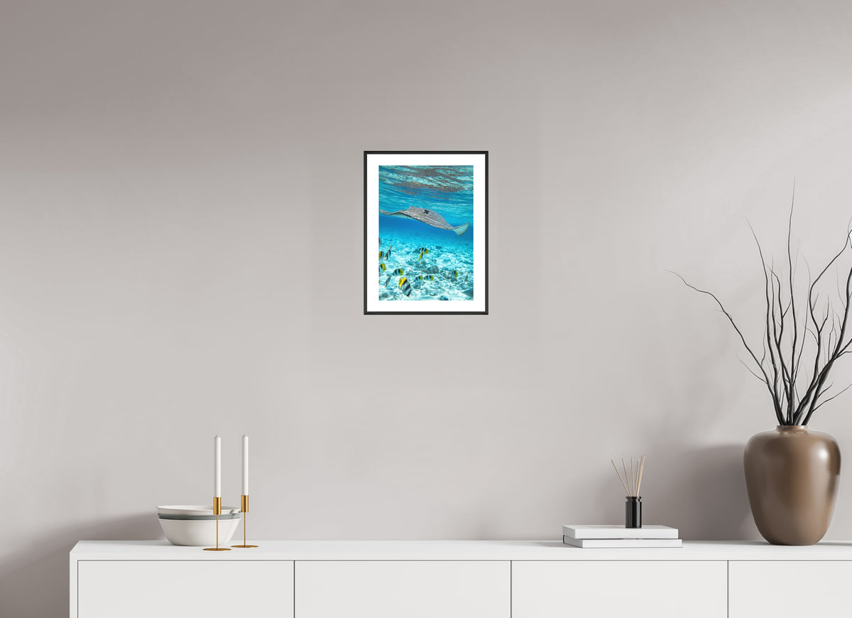 Stingray off Rarotonga, Cook Islands, 20 x 30 cm, framed Schwarz
