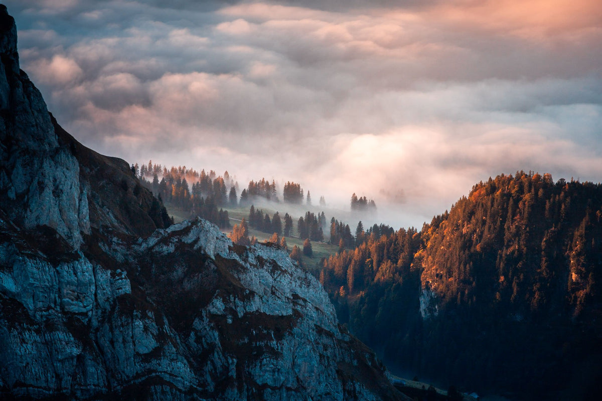 Photo Säntis Forest Sunrise Light