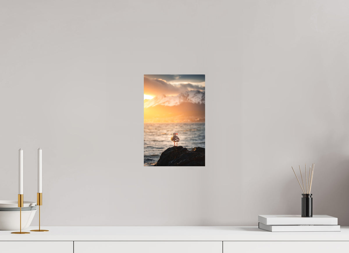 Seagull at Sunset, Ushuaia, 20 x 30 cm, paper print