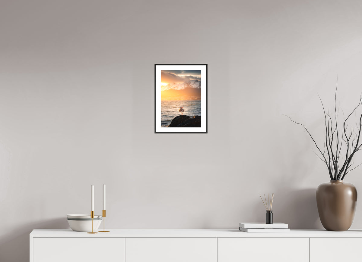 Seagull at Sunset, Ushuaia, 20 x 30 cm, framed Schwarz