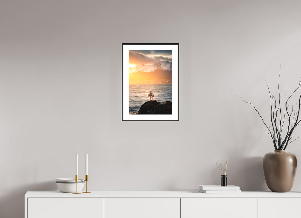 Seagull at Sunset, Ushuaia, 30 x 45 cm, framed Schwarz