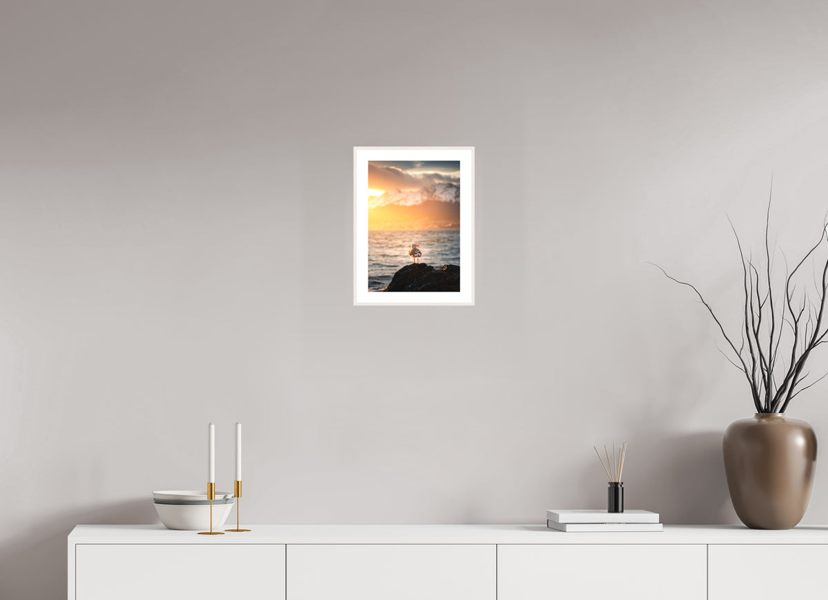Seagull at Sunset, Ushuaia, 20 x 30 cm, framed Weiß