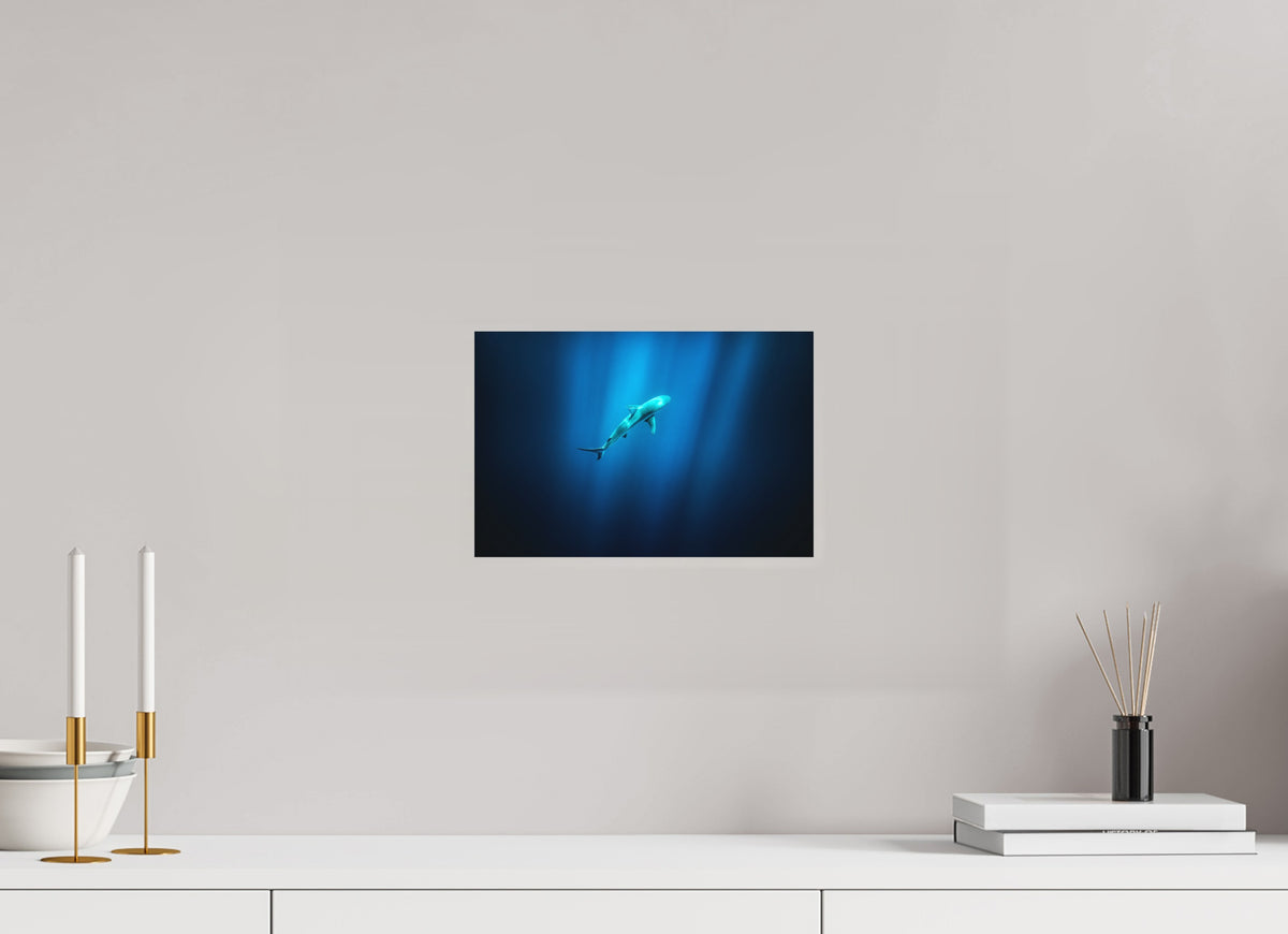 Shark in Hawaiian Blue Waters, 30 x 20 cm, paper print