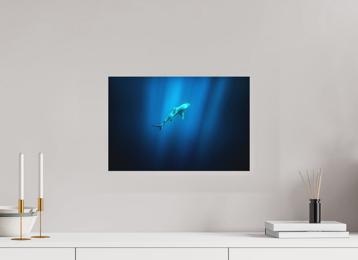 Shark in Hawaiian Blue Waters, 45 x 30 cm, paper print
