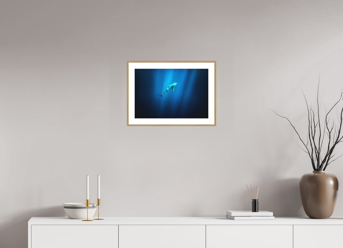Shark in Hawaiian Blue Waters, 45 x 30 cm, framed Holzoptik