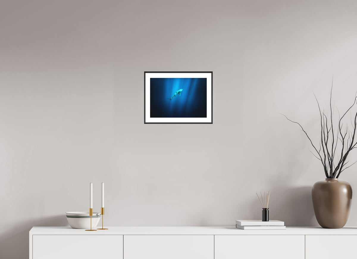 Shark in Hawaiian Blue Waters, 30 x 20 cm, framed Schwarz