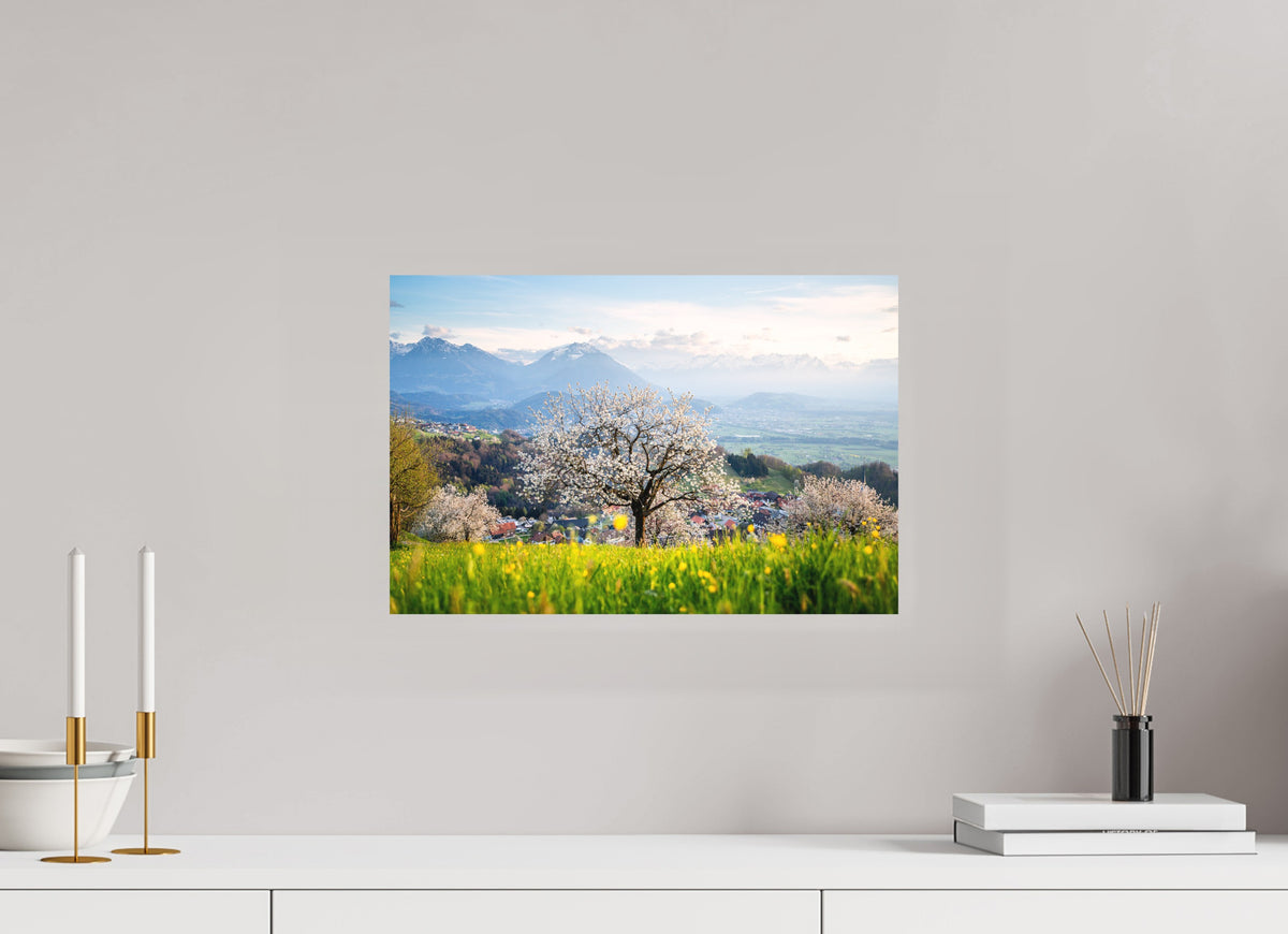Spring Cherry Tree Meadow, Fraxern, 45 x 30 cm, paper print