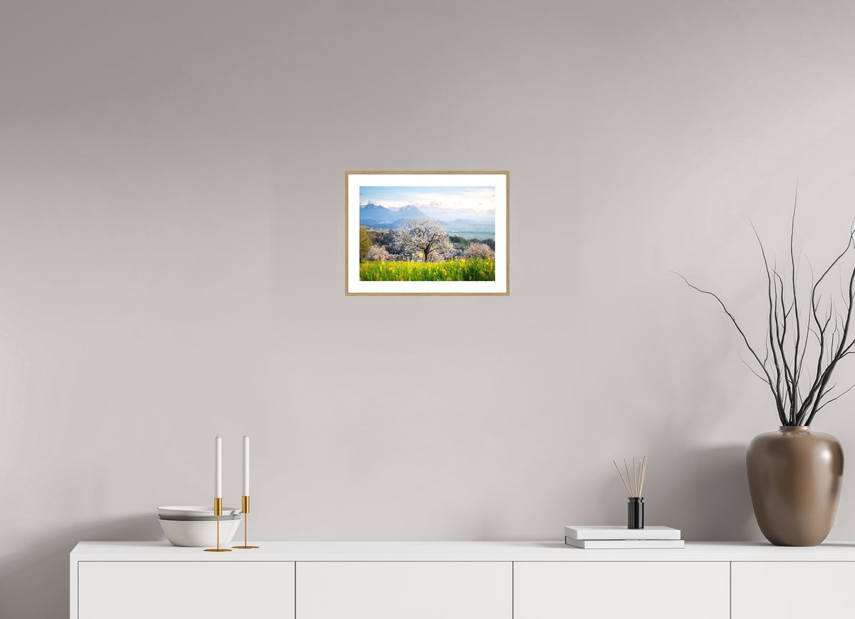 Spring Cherry Tree Meadow, Fraxern, 30 x 20 cm, framed Holzoptik